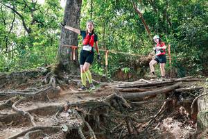 BIB: 
                            <button type="button" onclick="openModal(27718252)" class="btn btn-primary btn-sm float-right btn-popup" data-toggle="modal" data-target=".modal-high-quality">
                        <i class="fas fa-shopping-cart"></i> Add to Cart
                    </button>
                                            <button type="button" onclick="isThisMe(27718252, true)" class="btn btn-success btn-sm float-right btn-popup btn-isme hidden" data-toggle="tooltip" data-placement="bottom" title="นี่คือรูปของคุณใช่ไหม คลิกที่นี่เพื่อเอาเข้าอัลบั้ม">
                        <i class="fas fa-plus"></i> Add to album
                    </button>
                    <button type="button" onclick="isThisMe(27718252, false)" class="btn btn-warning btn-sm float-right btn-popup btn-isnotme hidden">
                        <i class="fas fa-ban"></i> Remove from album
                    </button>